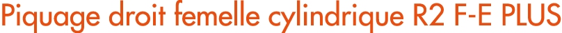 Piquage droit femelle cylindrique R2 F E PLUS