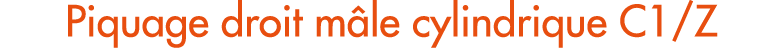 Piquage droit m le cylindrique C1/Z